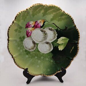 Vintage Handpainted Germany Porcelain Plate – Green Ombre w/ White Fruit & Gold